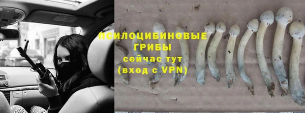 марки lsd Зеленокумск