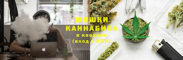 PSILOCYBIN Инсар