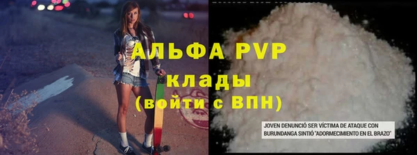 PSILOCYBIN Инсар
