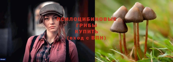 PSILOCYBIN Инсар