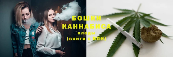 тгк Инта