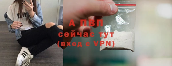 PSILOCYBIN Инсар