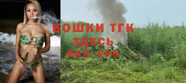 тгк Инта