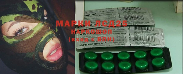 тгк Инта