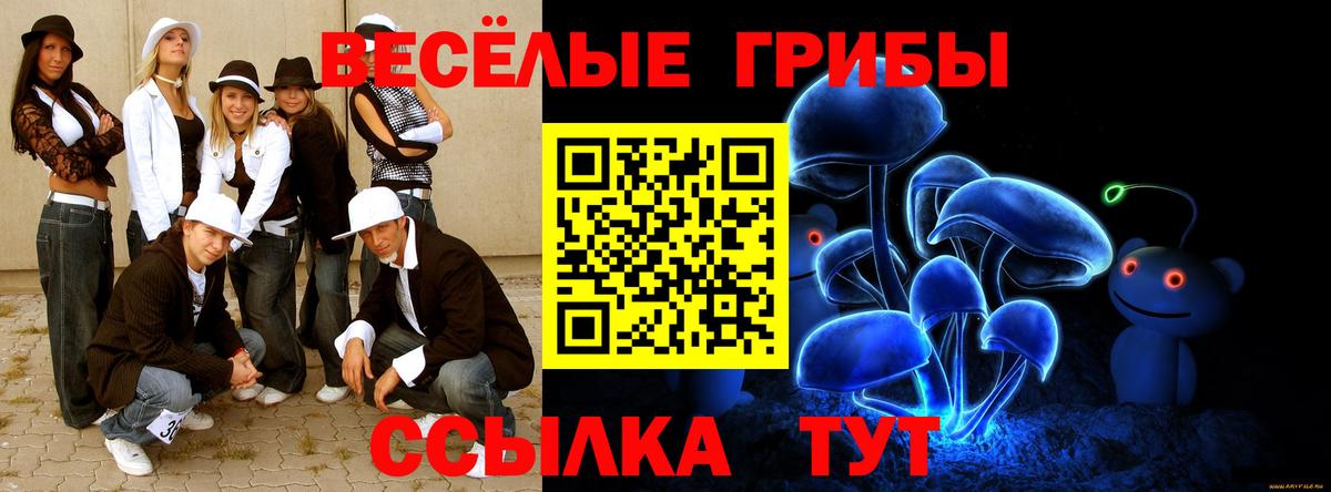Галлюциногенные грибы прущие грибы Елец